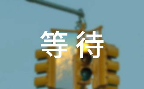 《等待绽放》读后感