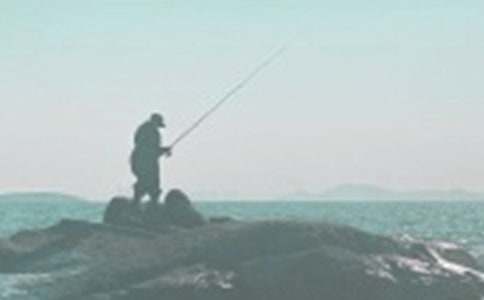 钓鱼话题作文(15篇)