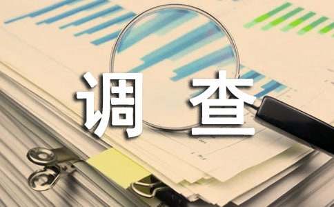 高中生社会调查报告