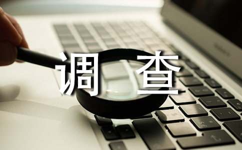 大学生理财调查报告 15篇