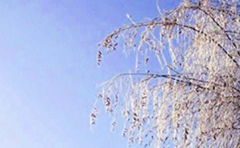 �����Сѧ�ռǽ���5ƪ