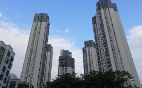 �޷���֤����ת��Э����5ƪ