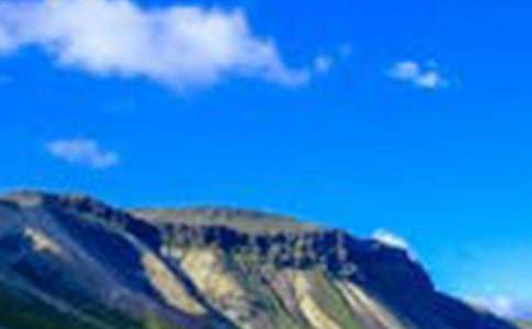 �Է羰Ϊ���������(15ƪ)