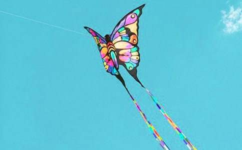 【必备】放风筝的日记四篇