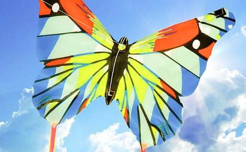 �����ݡ����Ľ�ѧ��˼11ƪ