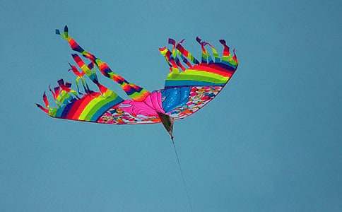 �����ݡ���ѧ���15ƪ