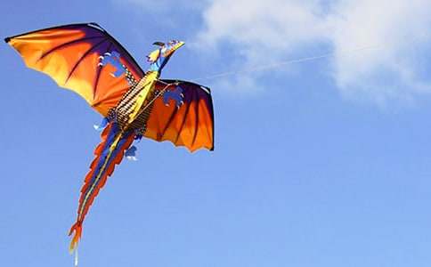 ���ر����ŷ��ݽ�ѧ���