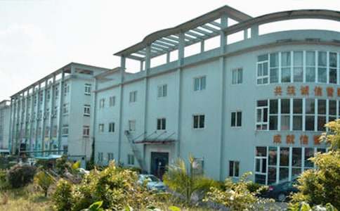 ����Ա�������ܽ�ϼ�11ƪ