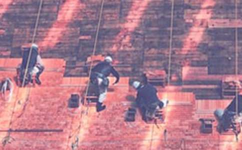 �������ع��̺�ͬ����