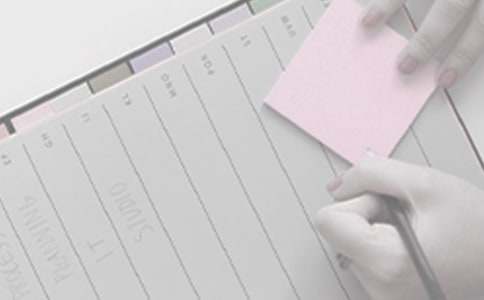 ���������������ƻ�