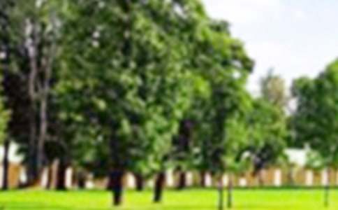 ��д��԰���ռ�150��