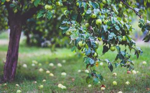 ��԰ת�ú�ͬ�����ϣ�