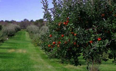 ��԰ת�ú�ͬ[�ϼ�]