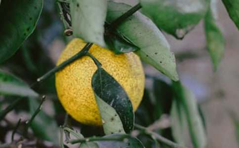 ũ���԰�а���ͬ