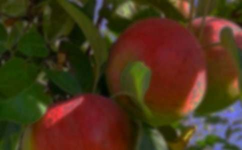 ��԰�а���ͬ(��ѡ15ƪ)