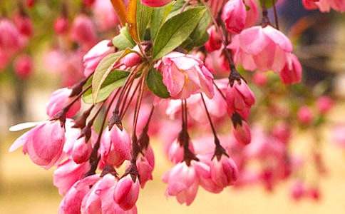 �����㺣�ġ��ۺ��