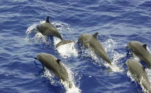 ����ɫ�ĺ��ൺ�������14ƪ���Ƽ���