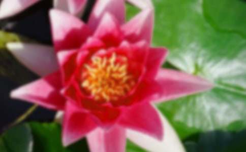 �ɻ���ѧ���