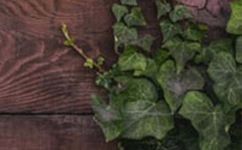 ��г�ദ��ѧ��˼