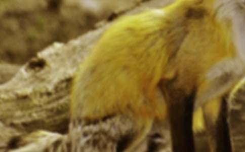 �˲���ĺ���ְֶ����