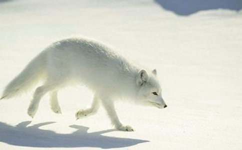 �������ҹۺ��