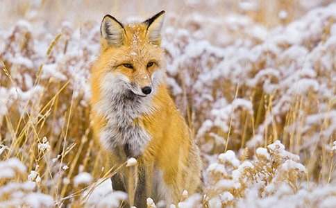 ���˲���ĺ���ְ֡������11ƪ