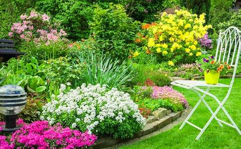 ��԰���̳а���ͬ