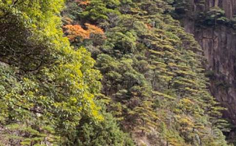 ����ɽ���ɡ�˵�θ�