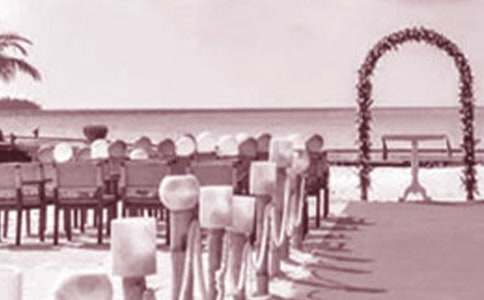 Ů�������л��