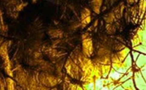 �����¹��ĵ����