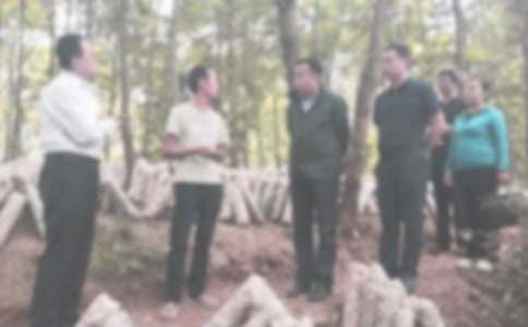 ��ѧ�ͼ첿������