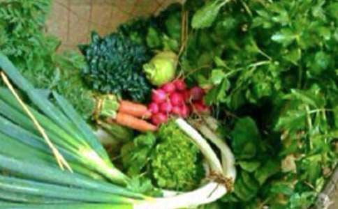 ����������ѧ�ƻ�������ƪ