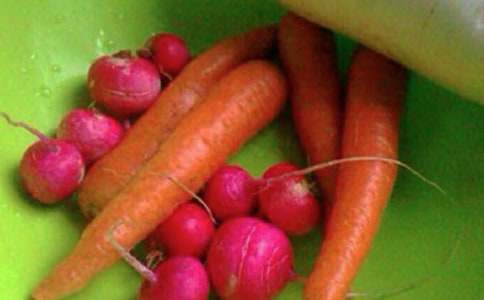 健康乡镇工作总结