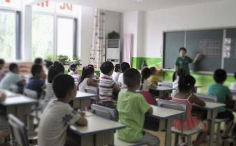 小学劳动教学计划