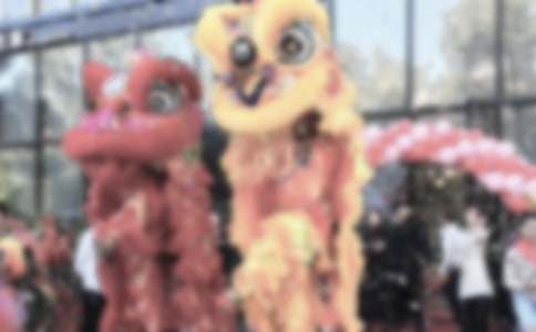 ��Ƶ꿪ҵ����л��[��Ʒ4ƪ]