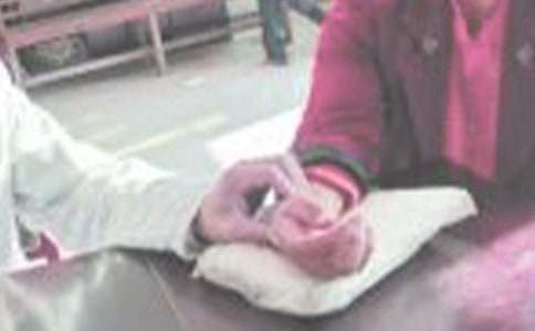 (�ر�)���������15ƪ