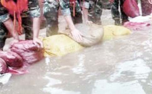 抗洪救灾心得体会