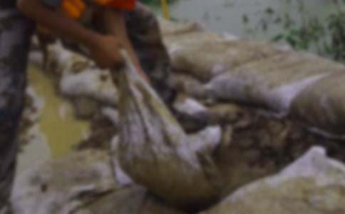 ������ֵĸ�л��[����]