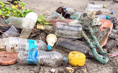 ���������а���ͬ