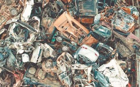 ��������ѧ�������鷶��