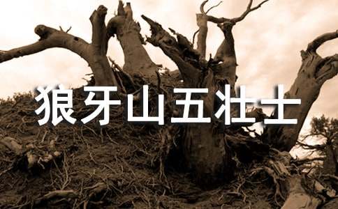 ������ɽ��׳ʿ���ۺ��