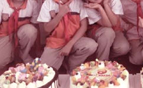 ��ѡ��һСѧ����300����ƪ