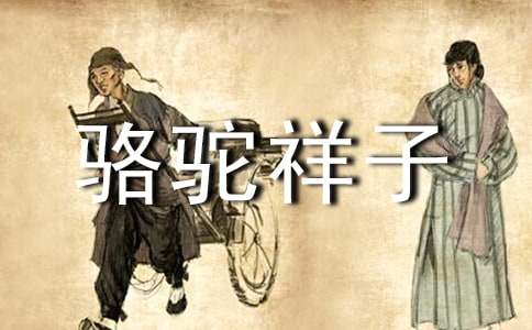 骆驼祥子读书笔记(经典15篇)