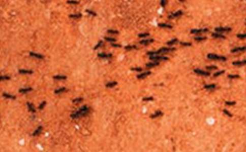 �й������ռ�����300����ƪ