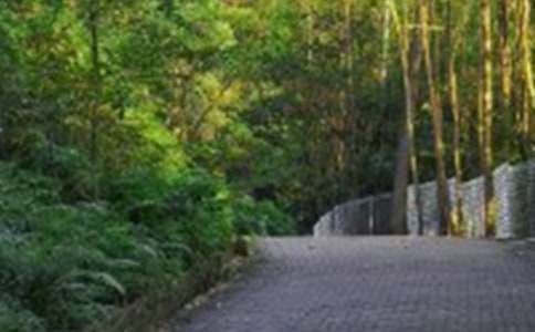 ��ɽ���ĽŽ�ѧ��˼