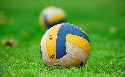 ʦ���������������߻�