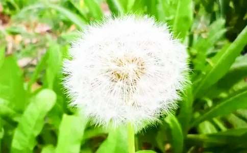 ���ѹ�Ӣ����ѧ��˼(�ϼ�15ƪ)