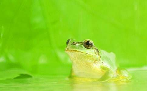 ����дʫ��ѧ���15ƪ