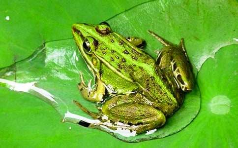 С���ܽ�ѧ��˼