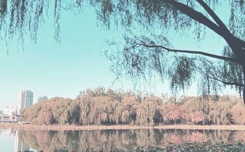 �＾���ȶӹ����ƻ�